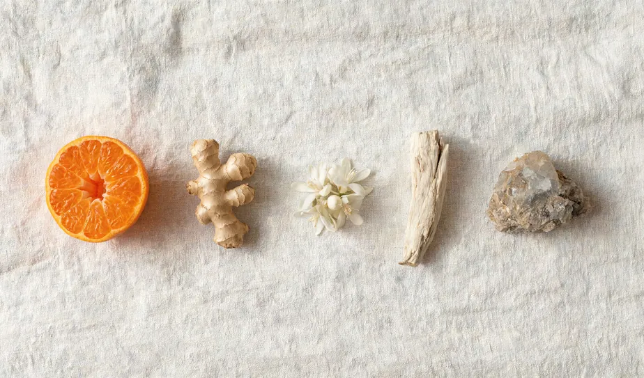 Silent Corsica — key ingredients
