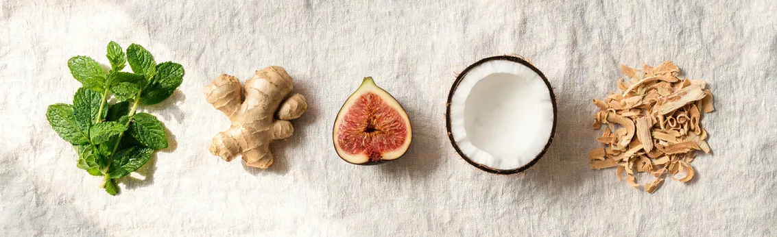 Wild Lombok — key ingredients