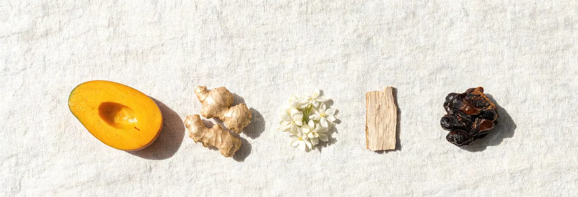 Magnetic Muscat — key ingredients